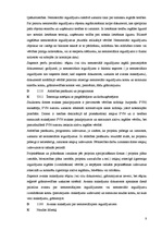 Prakses atskaite 'Prakses atskaite finanšu grāmatvedībā', 8.