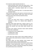 Prakses atskaite 'Prakses atskaite finanšu grāmatvedībā', 17.