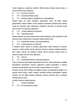 Prakses atskaite 'Prakses atskaite finanšu grāmatvedībā', 21.