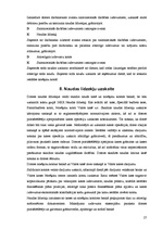 Prakses atskaite 'Prakses atskaite finanšu grāmatvedībā', 27.