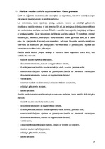 Prakses atskaite 'Prakses atskaite finanšu grāmatvedībā', 28.