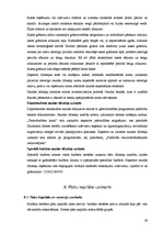 Prakses atskaite 'Prakses atskaite finanšu grāmatvedībā', 29.