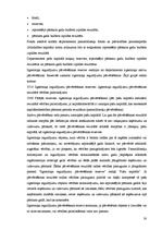 Prakses atskaite 'Prakses atskaite finanšu grāmatvedībā', 30.