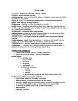 Konspekts 'Tiesību teorijas palīglīdzeklis', 1.