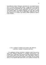 Referāts 'BT1 izstādes analīze', 9.