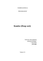 Konspekts 'Kaudze', 1.