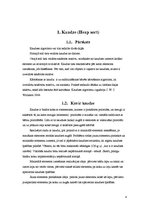 Konspekts 'Kaudze', 4.