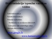 Prezentācija 'Diskriminācija', 3.