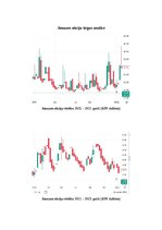 Konspekts 'A/S Amazon Akcijas', 2.