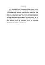 Konspekts 'Starptautiskās apdrošināšanas tiesības - mīts vai realitāte?', 7.