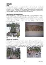 Referāts 'SIA "INKAM" biznesa plāns viesu mājai', 7.