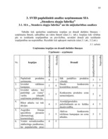 Referāts 'SIA "Stendera ziepju fabrika" analīze un attīstības stratēģijas izstrādāšana', 10.