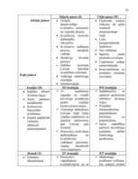 Referāts 'SIA "Stendera ziepju fabrika" analīze un attīstības stratēģijas izstrādāšana', 16.