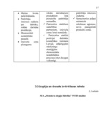 Referāts 'SIA "Stendera ziepju fabrika" analīze un attīstības stratēģijas izstrādāšana', 17.