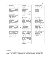 Referāts 'SIA "Stendera ziepju fabrika" analīze un attīstības stratēģijas izstrādāšana', 19.