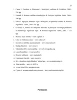 Referāts 'SIA "Stendera ziepju fabrika" analīze un attīstības stratēģijas izstrādāšana', 25.