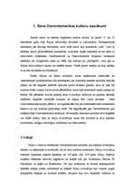 Referāts 'Seno Dienvidamerikas kultūru kalendāri un kalendāru rituāli', 4.