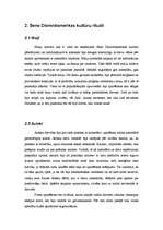 Referāts 'Seno Dienvidamerikas kultūru kalendāri un kalendāru rituāli', 8.