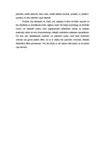 Referāts 'Seno Dienvidamerikas kultūru kalendāri un kalendāru rituāli', 19.