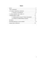 Referāts 'Entonijs Gidenss "Sabiedrības veidošanās"', 2.