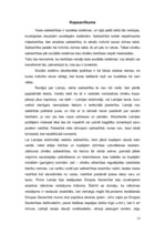 Referāts 'Entonijs Gidenss "Sabiedrības veidošanās"', 19.