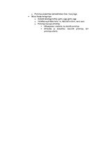 Konspekts 'Semantikas eksāmena jautājumi un atbildes', 8.