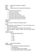 Konspekts 'Mātes dienas stundas konspekts', 3.