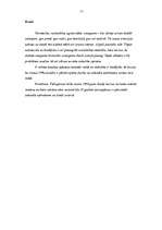 Referāts 'Ekspertīzes vardarbīgas pederastijas lietās', 3.