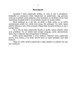 Referāts 'Skolēnu pašpārvaldes', 7.