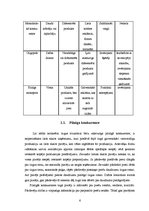 Referāts 'AAS "Balta" darbība monopolītiskās konkurences apstākļos', 6.