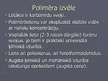 Prezentācija 'Betoni ar polimēriem', 13.