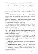 Referāts 'Minoritātes jēdziena izpratne mūsdienās Latvijas Republikā', 7.