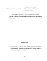 Konspekts 'Dienas gaitas lukturu lietošana un satiksmes drošība', 14.