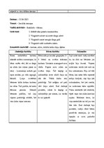 Prakses atskaite 'Aktīvā mācību un audzināšanas prakse pirmsskolā', 13.