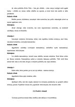 Prakses atskaite 'Aktīvā mācību un audzināšanas prakse pirmsskolā', 23.