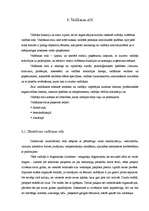 Referāts 'Vadības stilu raksturojums', 5.