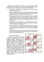 Referāts 'Trigera punkti, to rašanās iemesli, profilakse, ārstēšana', 5.