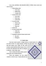 Referāts 'Ieskats latvju rakstos un novadu tautastērpos', 5.