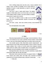 Referāts 'Ieskats latvju rakstos un novadu tautastērpos', 9.