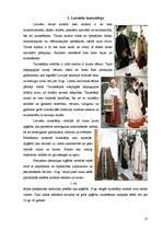 Referāts 'Ieskats latvju rakstos un novadu tautastērpos', 17.