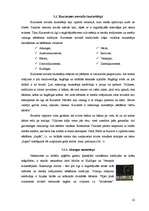 Referāts 'Ieskats latvju rakstos un novadu tautastērpos', 22.