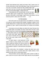 Referāts 'Ieskats latvju rakstos un novadu tautastērpos', 26.