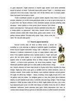 Referāts 'Ieskats latvju rakstos un novadu tautastērpos', 27.