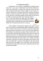 Referāts 'Ieskats latvju rakstos un novadu tautastērpos', 29.