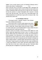 Referāts 'Ieskats latvju rakstos un novadu tautastērpos', 34.