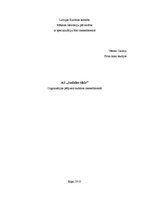 Konspekts 'A/s "Sadales tīkls". Organizācijas pētījums', 1.