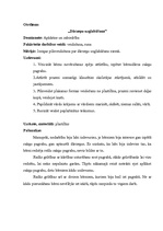 Konspekts 'Pirmsskolas izglītības skolotāja kvalifikācijas prakse', 5.