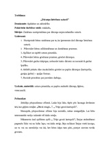 Konspekts 'Pirmsskolas izglītības skolotāja kvalifikācijas prakse', 6.