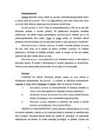 Konspekts 'Ģimenes izpētes tradīciju atšķirības dažādās socioloģijas teorijās', 4.