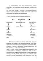 Referāts 'Aušanas tehnoloģiskais process', 3.